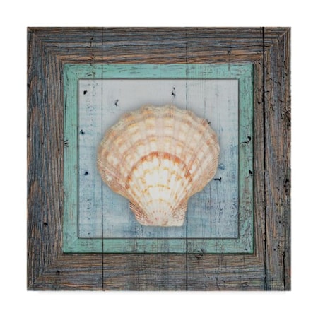 Lightboxjournal 'Framed Gypsy Sea Shell' Canvas Art,35x35